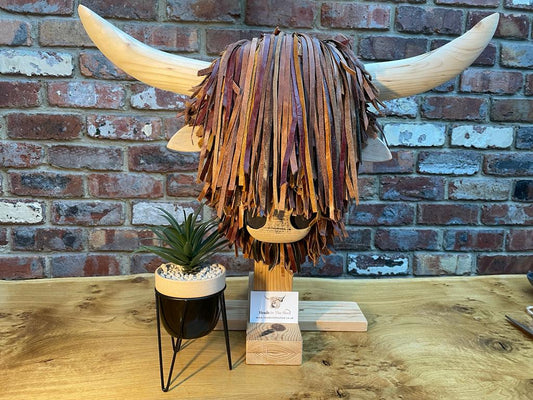 Wall Mounted Brown Highland Cows Head